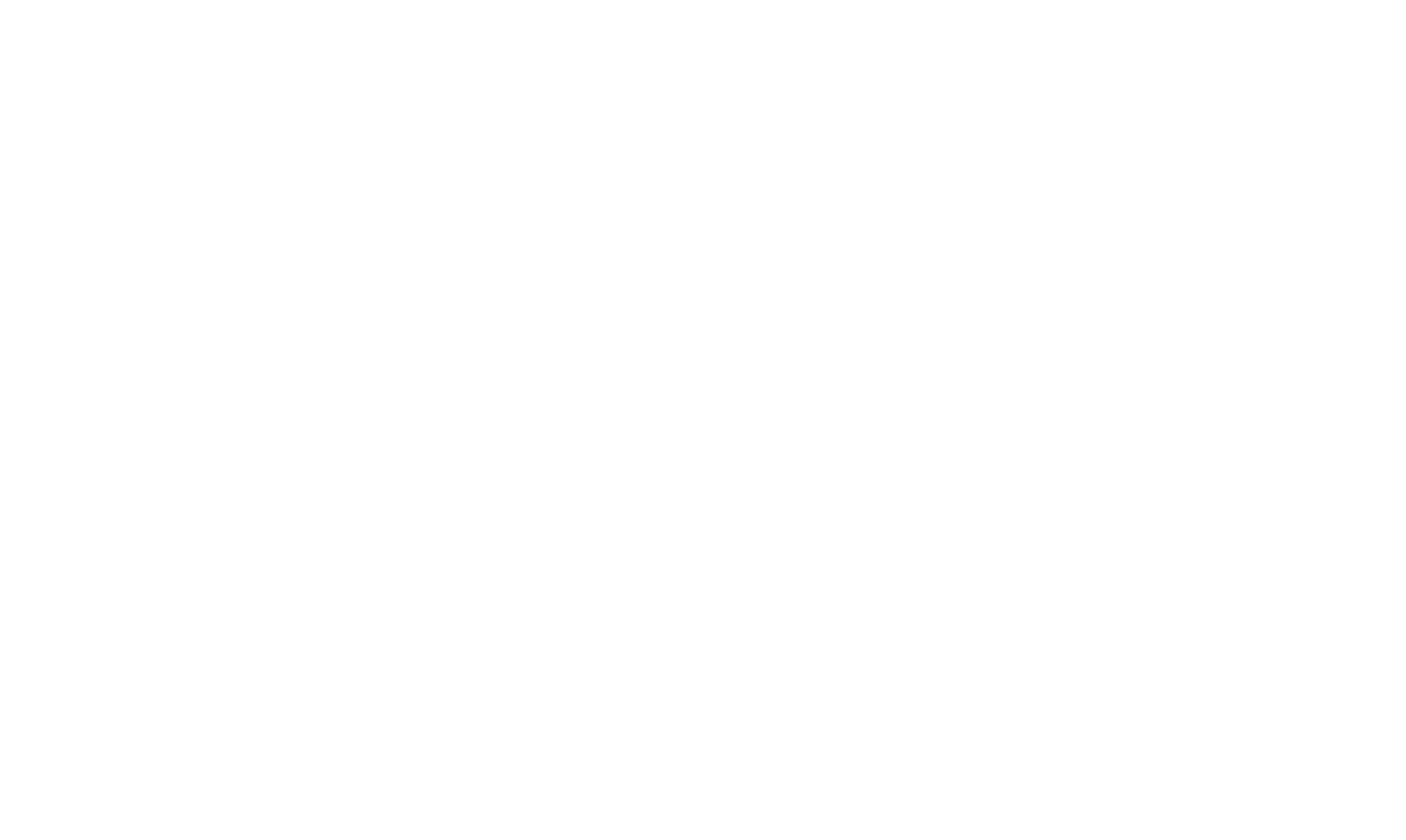 STRATEGIC PARTNERS